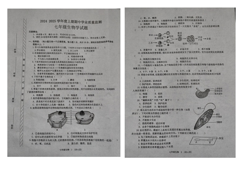 河南省漯河市临颍县2024-2025学年七年级上学期11月期中考试生物试题01