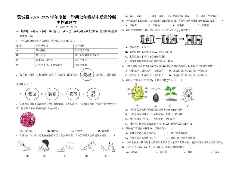 安徽省亳州市蒙城县2024-2025学年七年级上学期11月期中生物试题第1页