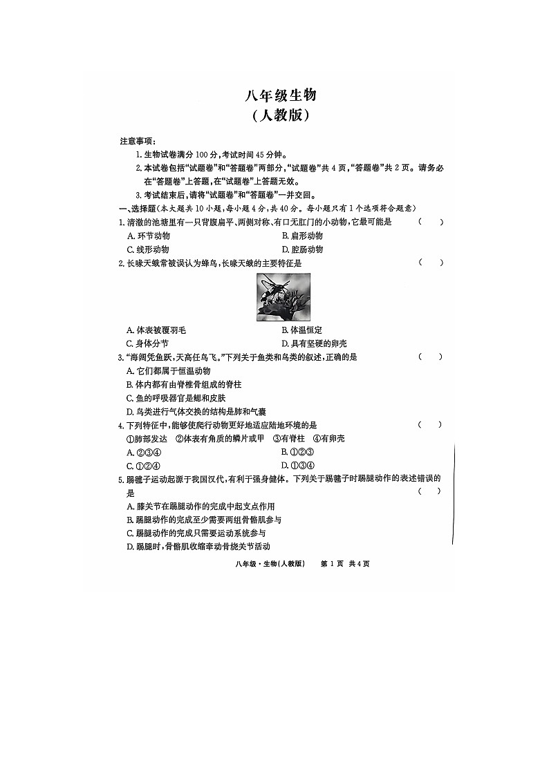 安徽省亳州市利辛县2024-2025学年八年级上学期11月期中生物试题第1页