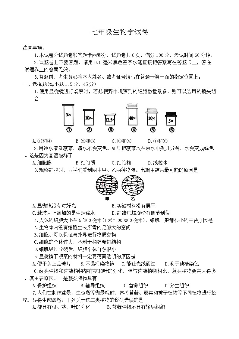 河南省洛阳市西工区2024-2025学年七年级上学期期中考试生物试卷01