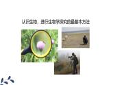 人教版（2024）七年级生物上册第一单元1.1观察周边环境中的生物ppt课件