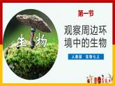 人教版（2024）七年级生物上册第一单元1.1观察周边环境中的生物精品ppt课件