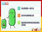 人教版（2024）七年级生物上册第一单元1.1观察周边环境中的生物精品ppt课件