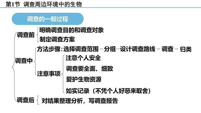 人教版（2024）七年级生物上册第一单元1.1观察周边环境中的生物课件第7页