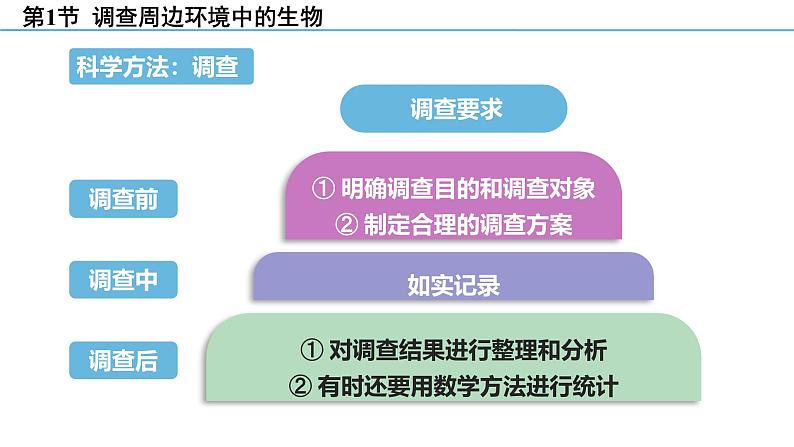 人教版（2024）七年级生物上册第一单元1.1观察周边环境中的生物课件第8页