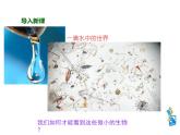 人教版（2024）七年级生物上册第一单元2.1学习使用显微镜ppt课件