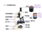人教版（2024）七年级生物上册第一单元2.1学习使用显微镜ppt课件