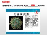 人教版（2024）七年级生物上册第一单元2.1学习使用显微镜精品ppt课件
