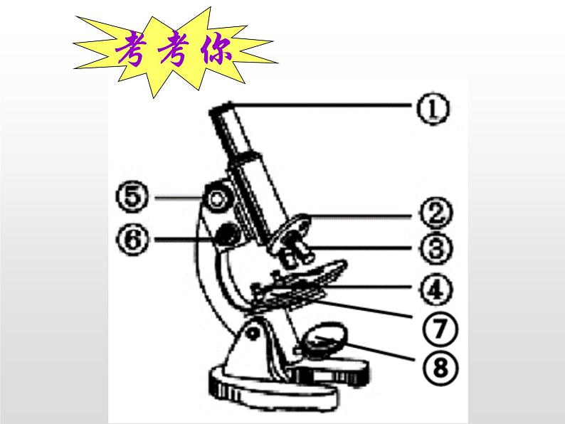 人教版（2024）七年级生物上册第一单元2.1学习使用显微镜精品ppt课件第7页