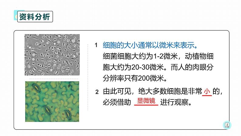 人教版（2024）七年级生物上册第一单元2.1学习使用显微镜精品课件第3页