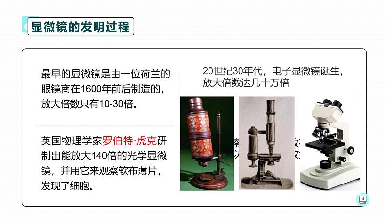 人教版（2024）七年级生物上册第一单元2.1学习使用显微镜精品课件第4页