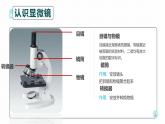 人教版（2024）七年级生物上册第一单元2.1学习使用显微镜精品课件