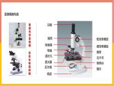 人教版（2024）七年级生物上册第一单元2.1学习使用显微镜课件