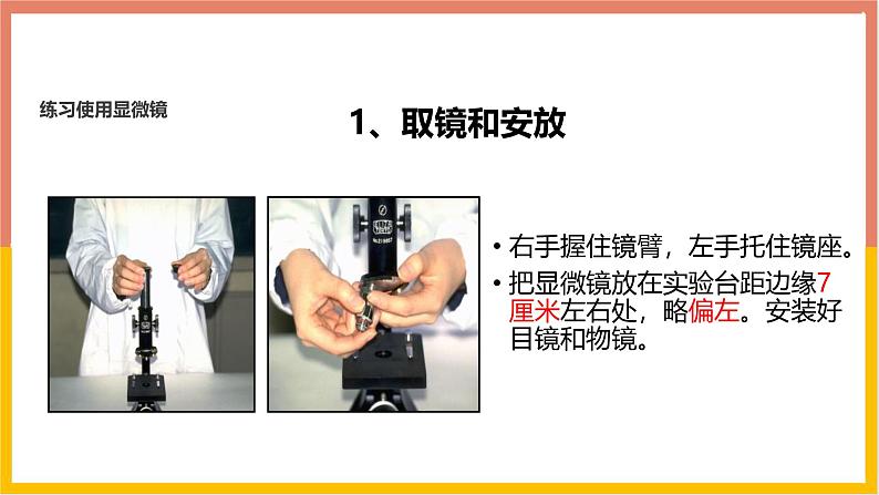 人教版（2024）七年级生物上册第一单元2.1学习使用显微镜课件第6页