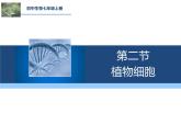 人教版（2024）七年级生物上册第一单元2.2植物细胞ppt精品课件