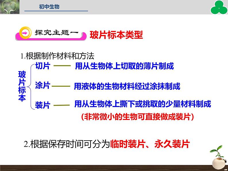 人教版（2024）七年级生物上册第一单元2.2植物细胞ppt精品课件第3页