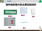 人教版（2024）七年级生物上册第一单元2.2植物细胞ppt精品课件