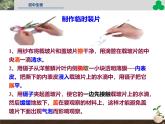 人教版（2024）七年级生物上册第一单元2.2植物细胞ppt精品课件