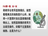 人教版（2024）七年级生物上册第一单元2.2植物细胞ppt课件