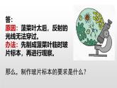 人教版（2024）七年级生物上册第一单元2.2植物细胞ppt课件
