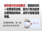 人教版（2024）七年级生物上册第一单元2.2植物细胞ppt课件