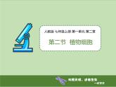 人教版（2024）七年级生物上册第一单元2.2植物细胞精品课件