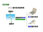 人教版（2024）七年级生物上册第一单元2.2植物细胞精品课件