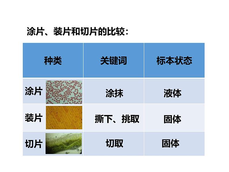 人教版（2024）七年级生物上册第一单元2.2植物细胞精品课件第6页