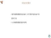 人教版（2024）七年级生物上册第一单元2.2植物细胞课件