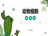 人教版（2024）七年级生物上册第一单元2.3动物细胞ppt课件