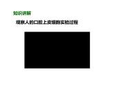 人教版（2024）七年级生物上册第一单元2.3动物细胞精品课件