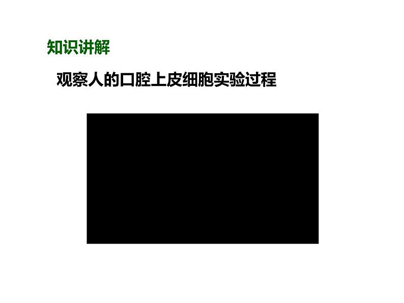 人教版（2024）七年级生物上册第一单元2.3动物细胞精品课件第4页