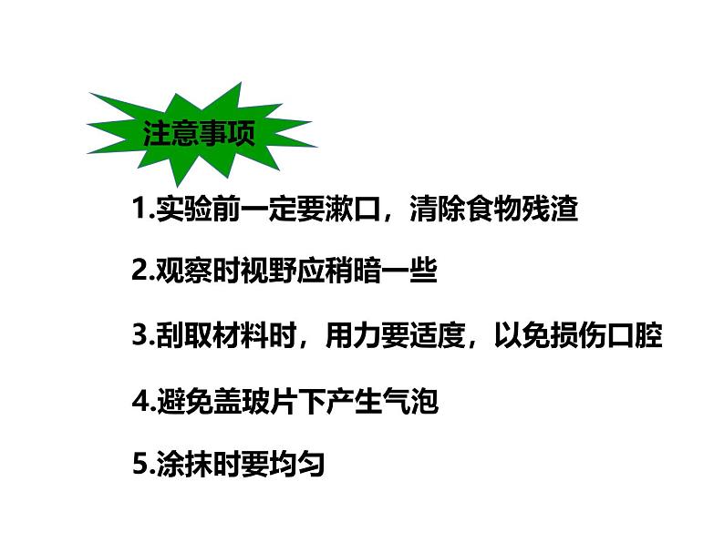 人教版（2024）七年级生物上册第一单元2.3动物细胞精品课件第6页