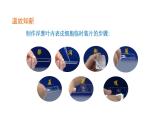 人教版（2024）七年级生物上册第一单元2.3动物细胞课件