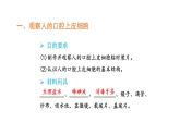 人教版（2024）七年级生物上册第一单元2.3动物细胞课件