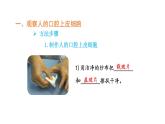 人教版（2024）七年级生物上册第一单元2.3动物细胞课件