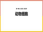 人教版（2024）七年级生物上册第一单元2.3动物细胞课件ppt