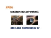 人教版（2024）七年级生物上册第一单元2.4细胞的生活ppt课件