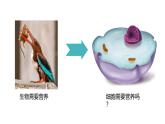 人教版（2024）七年级生物上册第一单元2.4细胞的生活精品ppt课件