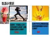 人教版（2024）七年级生物上册第一单元2.4细胞的生活精品课件