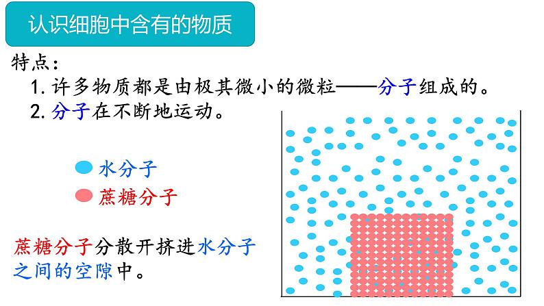 人教版（2024）七年级生物上册第一单元2.4细胞的生活精品课件第8页