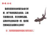 人教版（2024）七年级生物上册第一单元3.1细胞通过分裂产生新细胞ppt课件