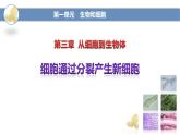 人教版（2024）七年级生物上册第一单元3.1细胞通过分裂产生新细胞精品课件