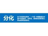人教版（2024）七年级生物上册第一单元3.2动物体的结构层次ppt课件