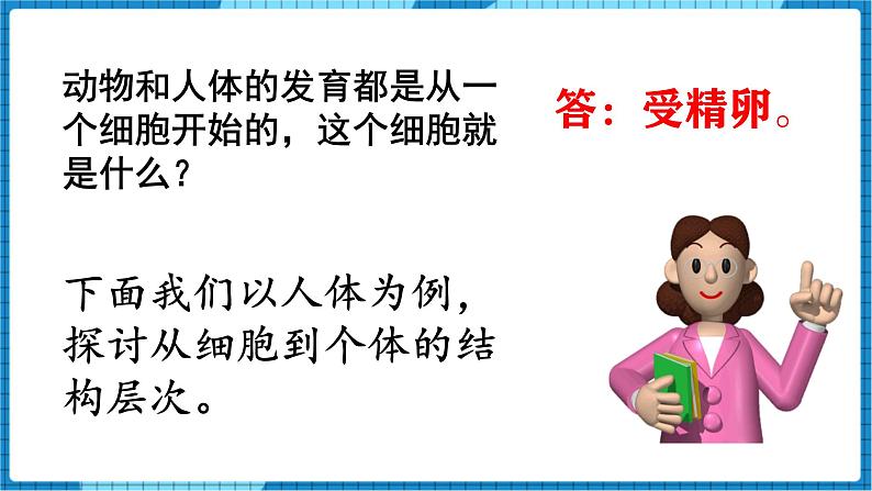 人教版（2024）七年级生物上册第一单元3.2动物体的结构层次精品ppt课件第3页