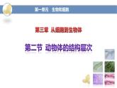 人教版（2024）七年级生物上册第一单元3.2动物体的结构层次精品课件