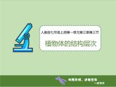 人教版（2024）七年级生物上册第一单元3.3植物体的结构层次ppt课件