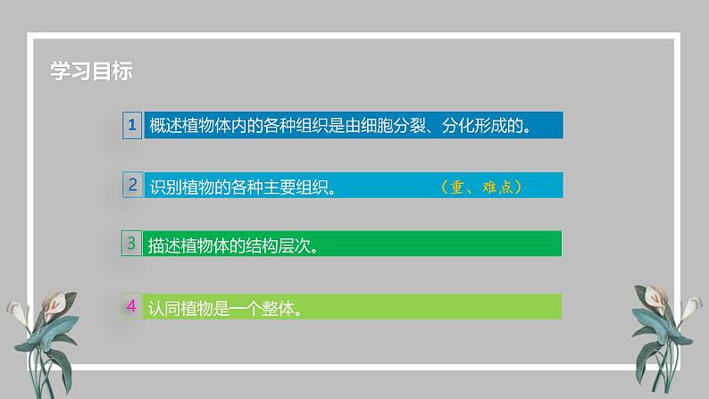 人教版（2024）七年级生物上册第一单元3.3植物体的结构层次精品课件第2页