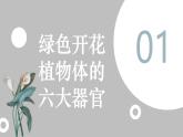 人教版（2024）七年级生物上册第一单元3.3植物体的结构层次精品课件