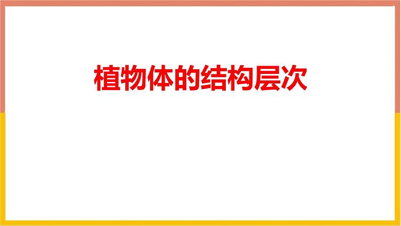 人教版（2024）七年级生物上册第一单元3.3植物体的结构层次课件第1页